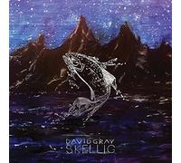 David Gray - Skellig