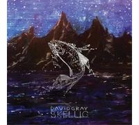 David Gray Skellig (Vinyl) 12" Album