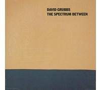 DAVID GRUBBS - The Spectrum Between