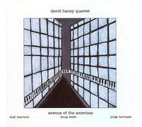 David Haney - Avenue of The Americas