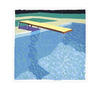 David-Hockneys Poster - Sprungbrett Mit Schatten (Paper Pool 14) - Poster sur toile pour décoration de chambre à coucher, bureau, chambre, cadeau sans cadre, 60 x 60 cm