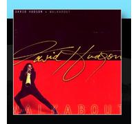 David Hudson - Walkabout [Import]