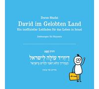 David im Gelobten Land: Ein inoffizieller Leitfaden für das Leben in Israel
