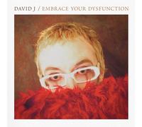 David J Embrace Your Dysfunction (CD) Album