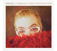 David J – Embrace Your Dysfunction – Vinyle 12" coloré