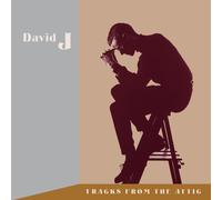 David J – Tracks from the Attic – Vinyle marron