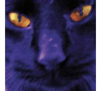 David Kilgour and Th - Bobbie S a Girl [Import]