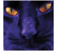 David Kilgour And The Heavy Eights - Bobbie'S A Girl