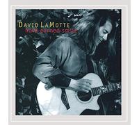 David LaMotte - Hard Earned Smile