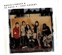 David Lindley & El Rayo-X - Very Greasy