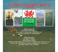 David Lloyd - Y Llais Arian