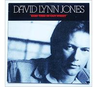 David Lynn Jones - hard times on easy street LP