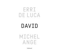 Erri De Luca – David, Michel-Ange : Enquête sur une disproportion – Relié, Gallimard