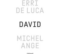 Erri De Luca – David, Michel-Ange : Enquête sur une disproportion – Relié, Gallimard