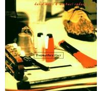David Moss & Michael Rodach - Fragmentary Blues [Import]