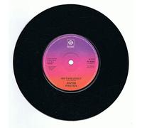 David Parton - DAVID PARTON Isn't She Lovely UK 7" 45
