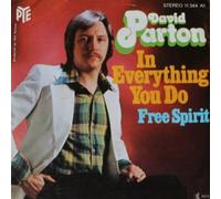 David Parton - In Everything You Do / Free Spirit - Pye Records - 11 344 AT