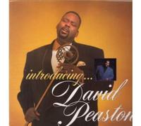 DAVID PEASTON - INTRODUCING LP (VINYL ALBUM) GERMAN GEFFEN 1989