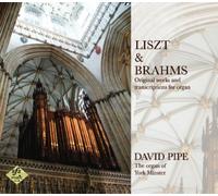 David Pipe - Liszt/Brahms: Original Works & [Import]