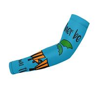 DAVID ROCK FEINSTEIN - Clash Of Armor CD 2013 US Import