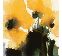 David Ross (Orange King 40 x 40 cm Toile Imprimée