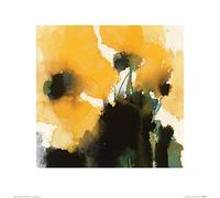 David Ross (Orange King 40 x 40 cm Toile Imprimée