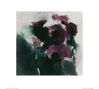 David Ross (Purple Poppies 40 x 40 cm Toile Imprimée