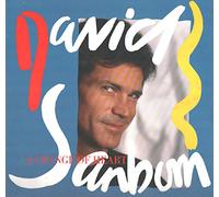 David Sanborn - A CHANGE OF HEART LP GERMAN WARNER BROS 1987 8 TRACK WITH INNER (9254791)