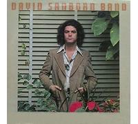 DAVID SANBORN - promise me the moon LP