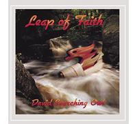 David Seaching Owl - Leap of Faith