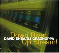 David Shea & DJ Grazhoppa - Down River, Up Stream [Import]