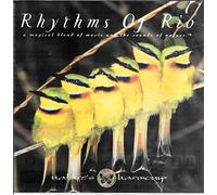 david sheffler - rhythms of rio (UK Import)