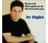 David Shepherd Grossman - In Sight