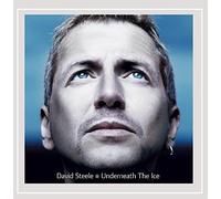 David Steele - Underneath The Ice