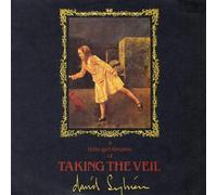 David Sylvian - A Little Girl Dreams Of Taking The Veil - Virgin - 108 414, Virgin - 108 414-100