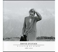 David Sylvian - A Victim Of Stars 1982 - 2012 - CD - F99z