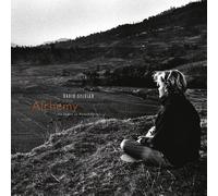 David Sylvian – Alchemy: An Index of Possibilities – Vinyle – Integral