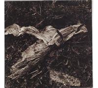 DAVID SYLVIAN AND HOLGER CZUKAY - Plight & Premonition - EX