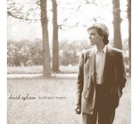 DAVID SYLVIAN - BRILLIANT TREES(ltd.reissue)