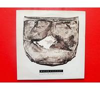 DAVID SYLVIAN - DAVID SYLVIAN let the happiness in