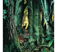 David Sylvian – Manafon – Vinyle 2xLP 180g – UMC