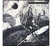 David Sylvian - Secrets of Beehive [Import]