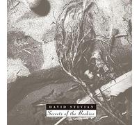 David Sylvian - Secrets of The Beehive [Import]