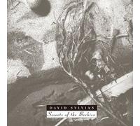 DAVID SYLVIAN - SECRETS OF THE BEEHIVE(ltd.reissue)