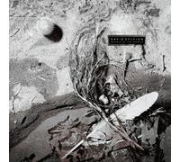 DAVID SYLVIAN - SECRETS OF THE BEEHIVE (REMASTERED LP) VINYL LP NEUF