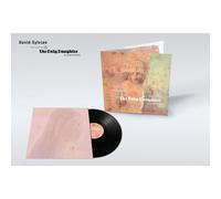 DAVID SYLVIAN - THE GOOD SON VS THE ONLY DAUGHTER (BLEMISH RMX) VINYL LP NEUF