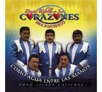 David Tafolla & Sus Corazones Del Pacifico - Como Agua Entre Las Manos