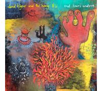 DAVID & THE HEAVY EIGHTS KILGOUR - END TIMES UNDONE CD NEUF