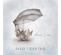 David Tixier Trio Feat. David Linx - Because I Care