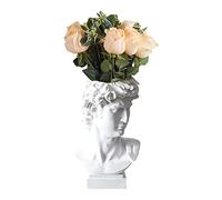 David - Vase à Fleurs - Tête David - Buste - Sculpture David Grec - Sculpture David - Tête décoration - Vase décoratif - Porte-Stylo